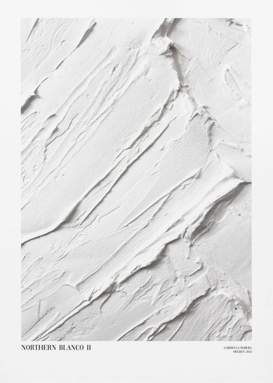 Northern Blanco No.II | Canvas