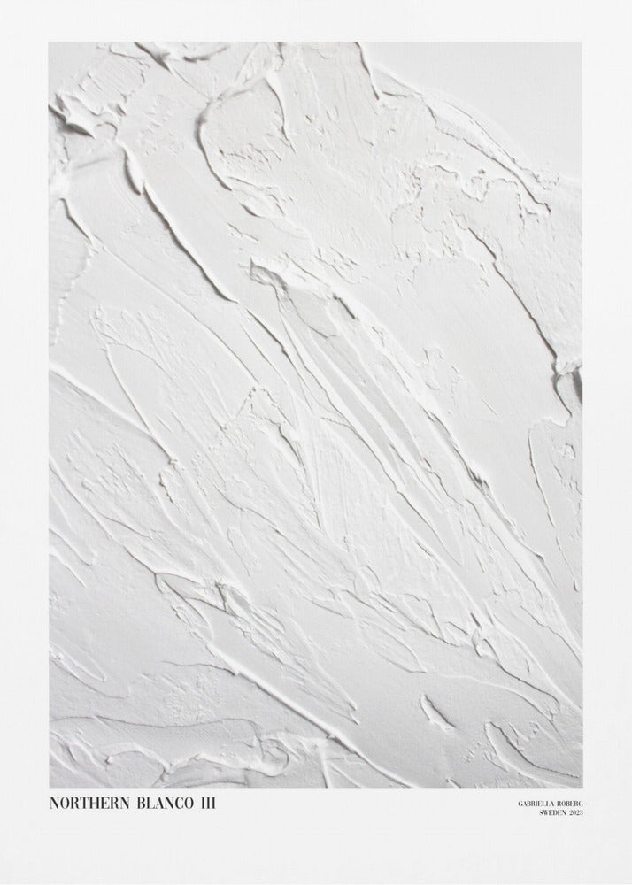 Northern Blanco No.III | Canvas
