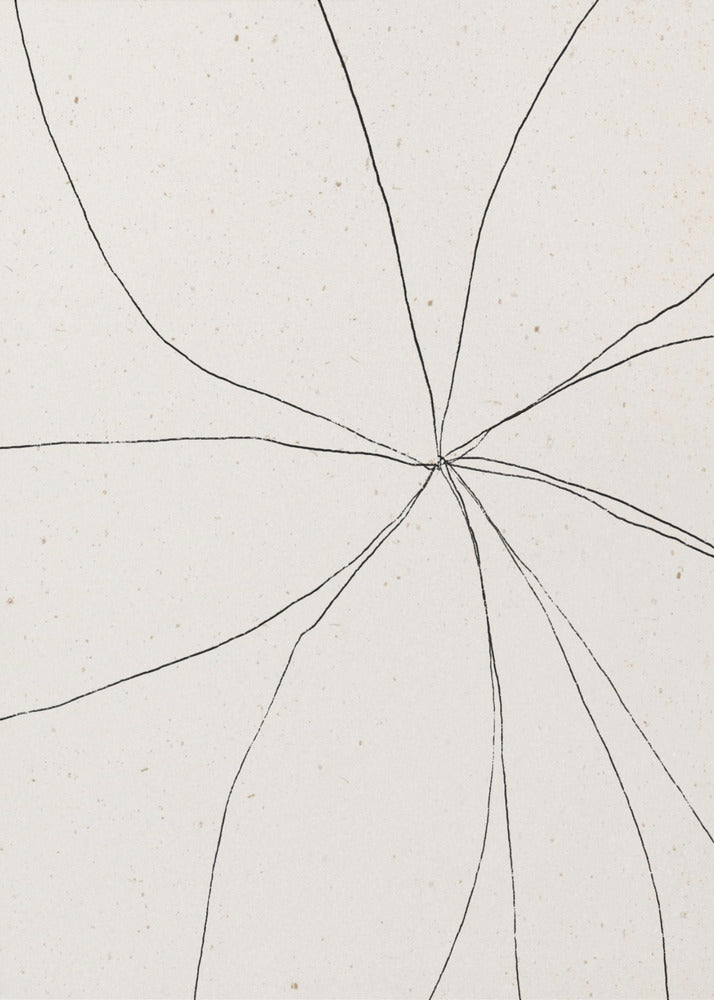 Cracked Symmetry | Poster
