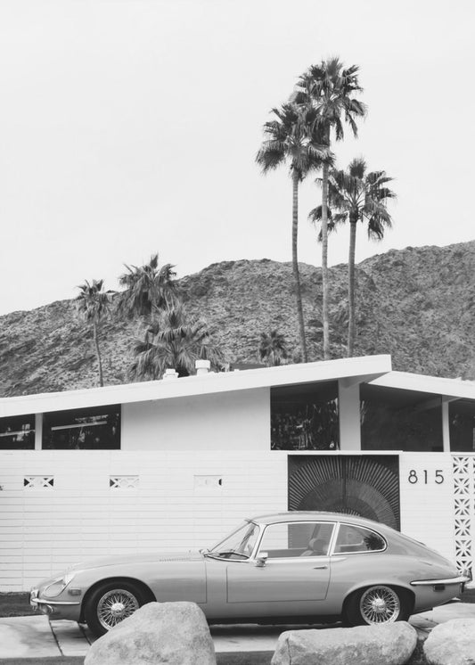 Palm Springs Ride II | Canvas