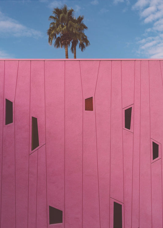 Palm Springs Vibes III | Canvas