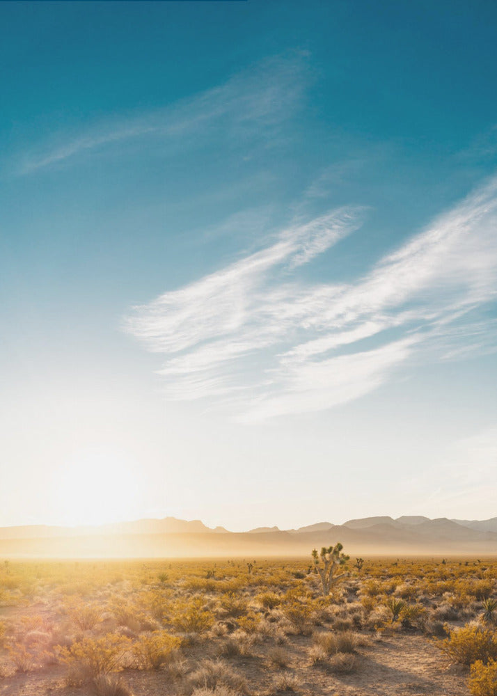 Nevada Desert Sunrise | Canvas