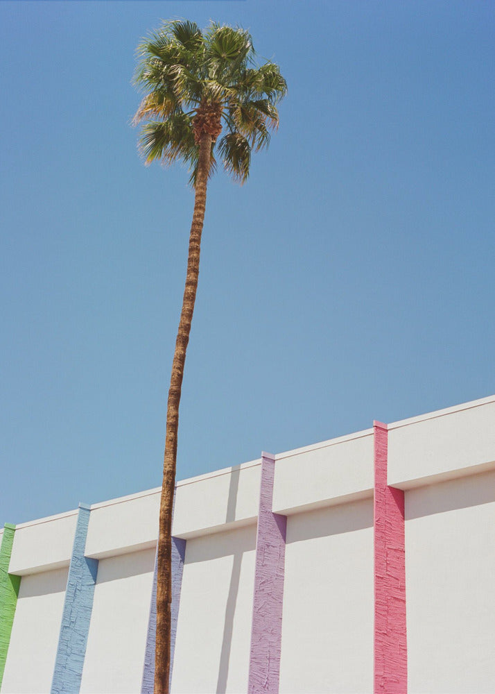 Palm Springs II | Canvas