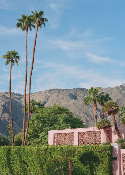 Palm Springs Pink House | Canvas