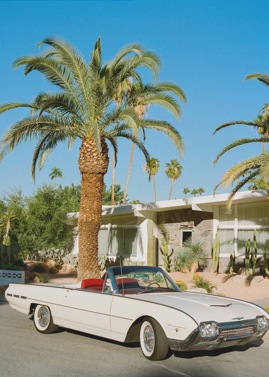 Palm Springs Thunderbird | Poster