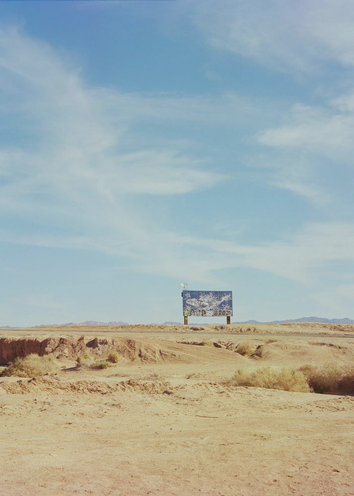 California Desert | Canvas