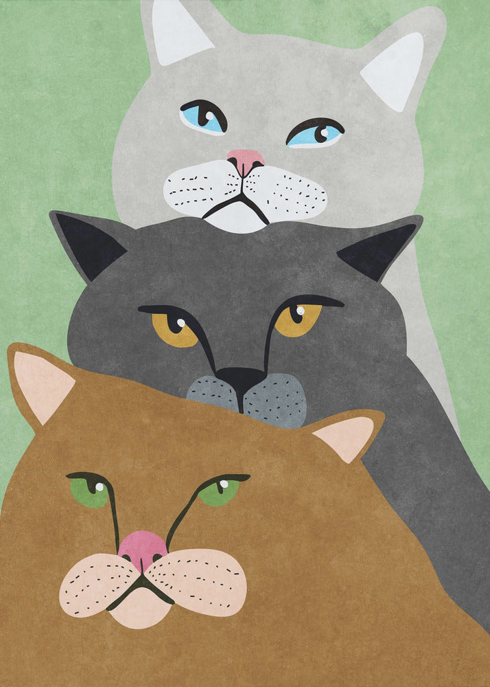Cat Trio | Canvas