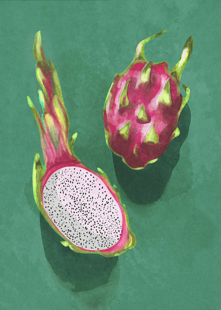 Dragonfruit | Canvas