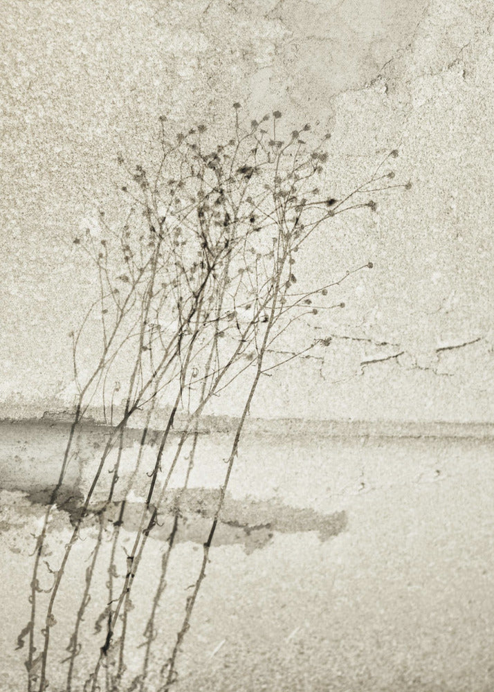 On the concrete | Poster