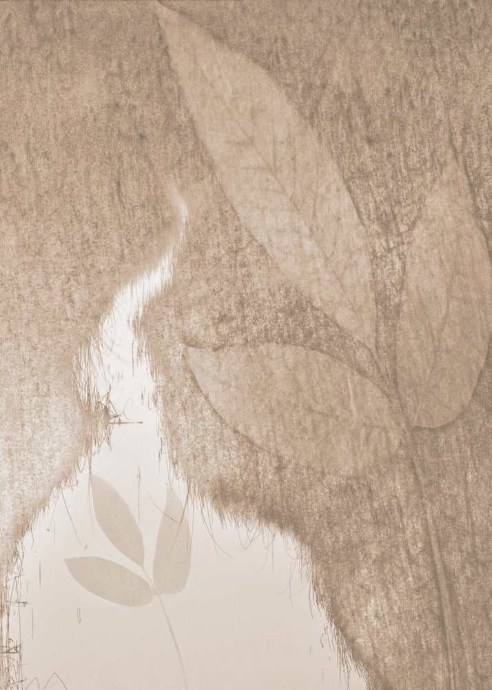 Water Mirror | Canvas