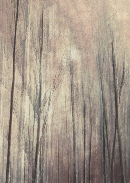 Fall forest | Canvas