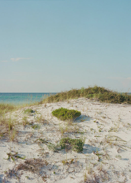 30a Dunes II | Canvas