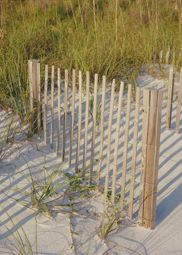Walk On the Beach III | Canvas