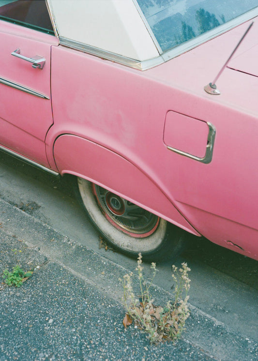 New Orleans Ride X | Canvas