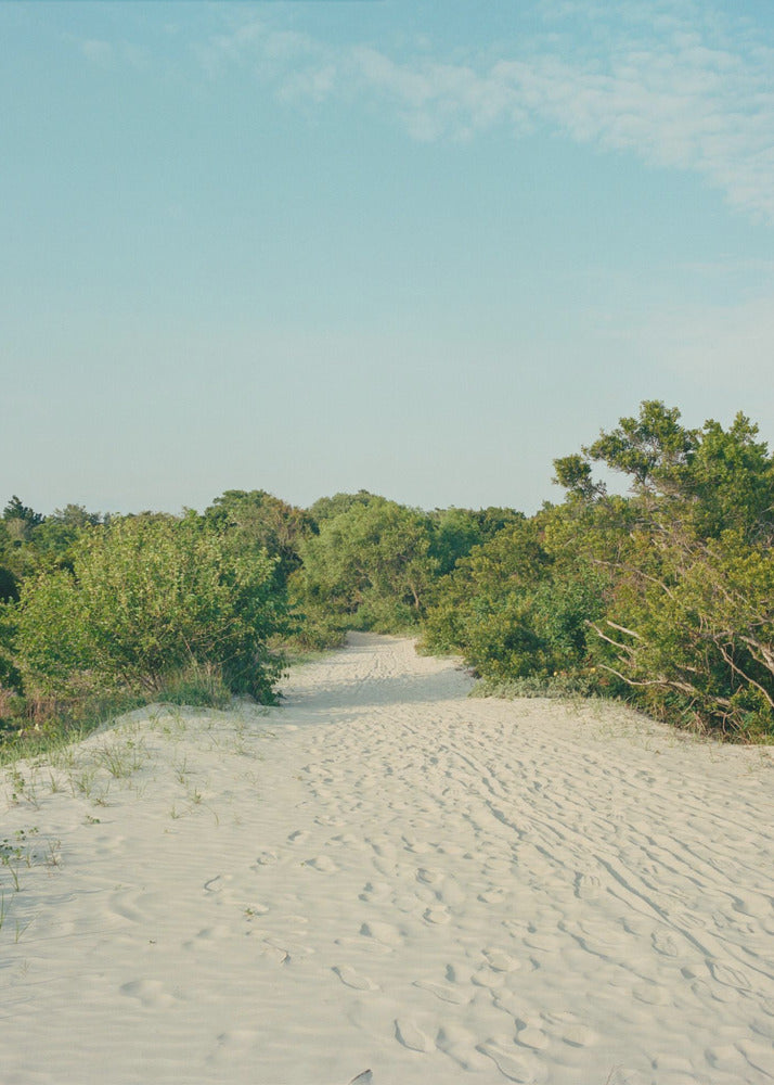 Sullivan&#039;s Island | Canvas