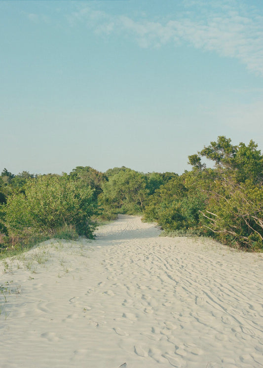 Sullivan&#039;s Island | Canvas