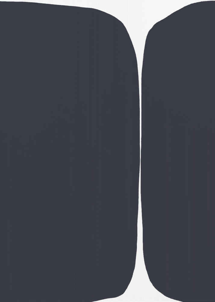 Midnight Duality | Canvas