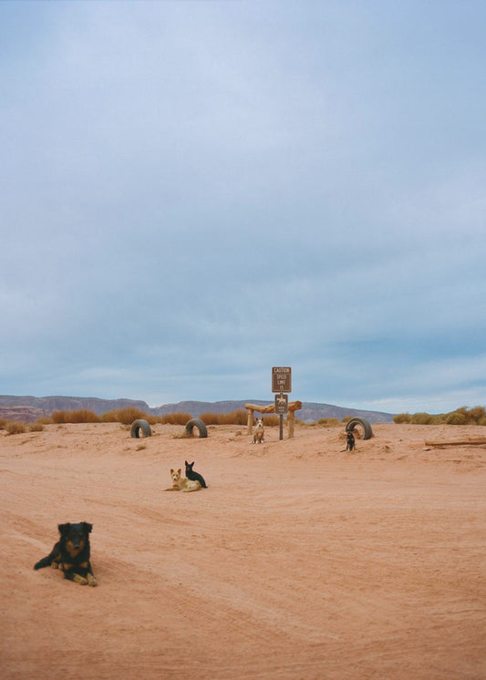 Monument Valley VIII | Poster