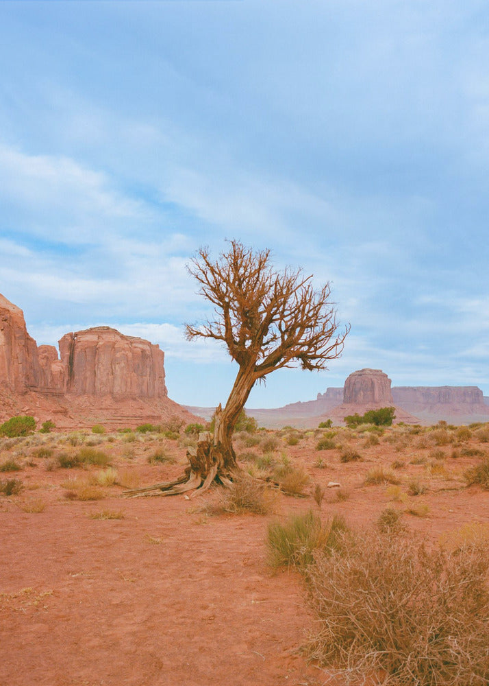 Monument Valley XI | Canvas