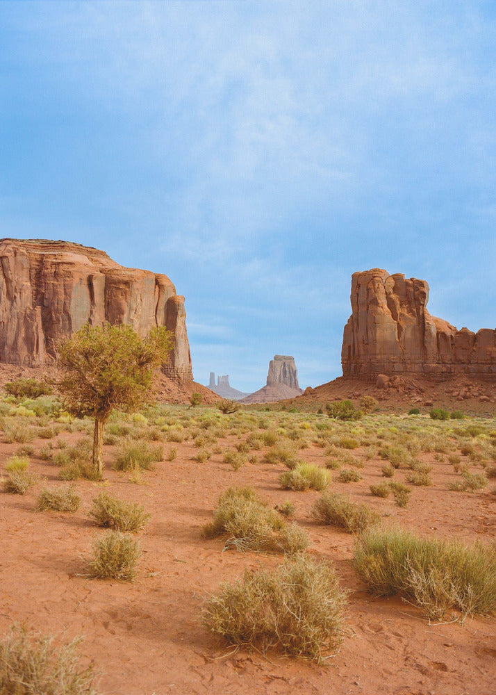 Monument Valley XII | Canvas