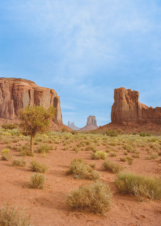 Monument Valley XII | Canvas