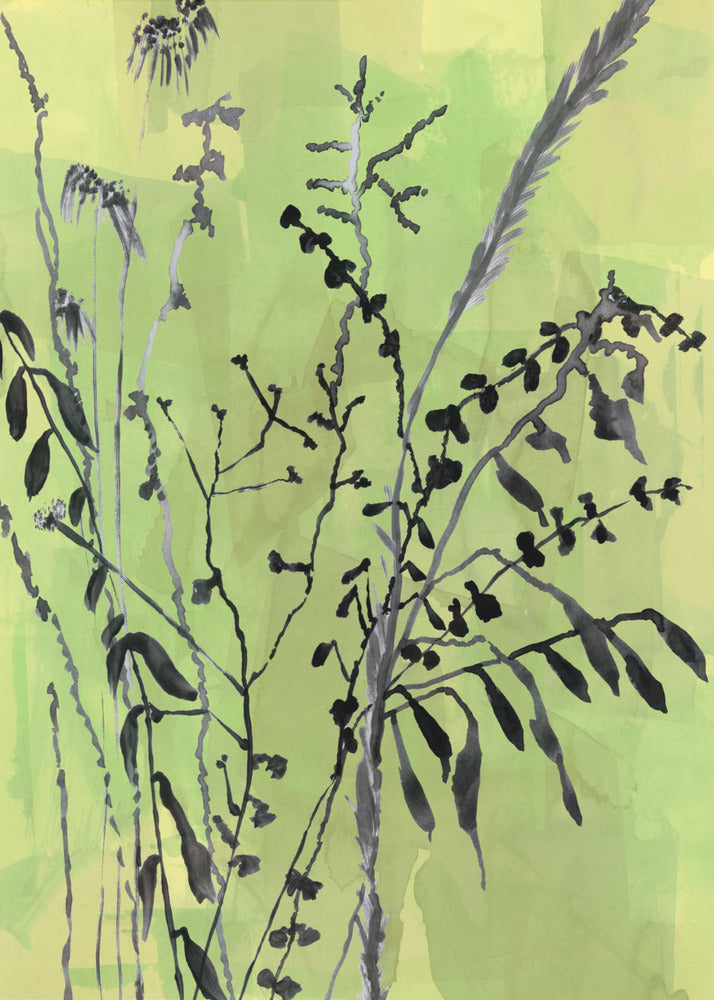 Folklore Arrangement | Canvas