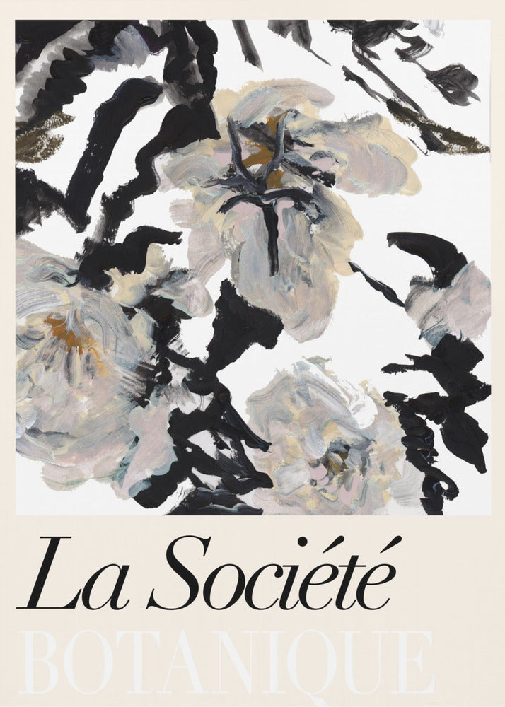 La Société Botanique Balck and White and Cream Flowers 2 | Canvas