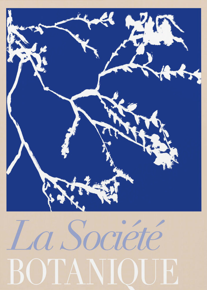La Société Botanique White Flower 2 | Canvas