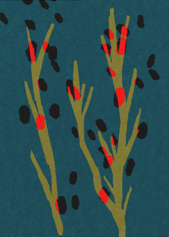 Botanic D | Poster