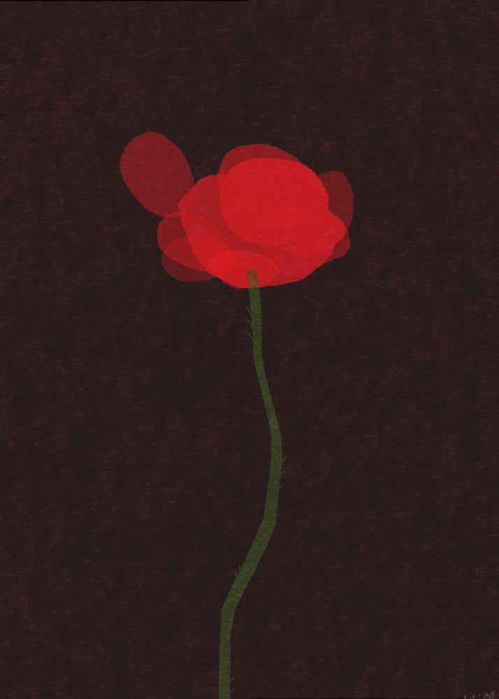 Poppy | Canvas
