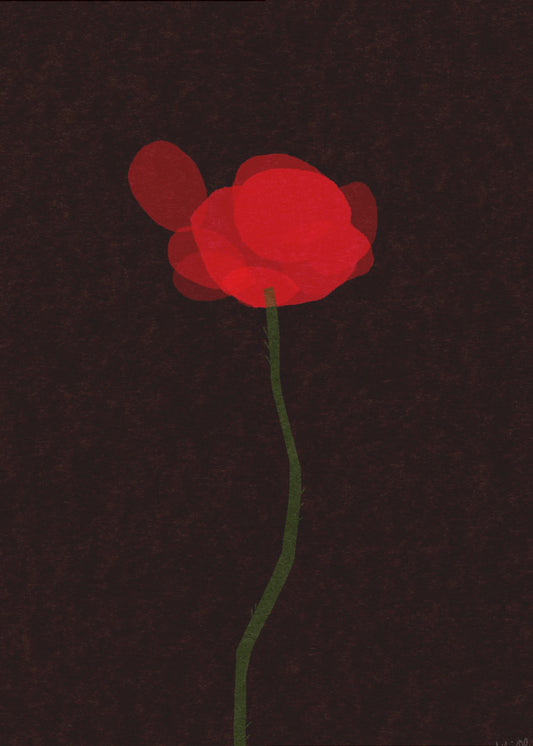 Poppy | Canvas