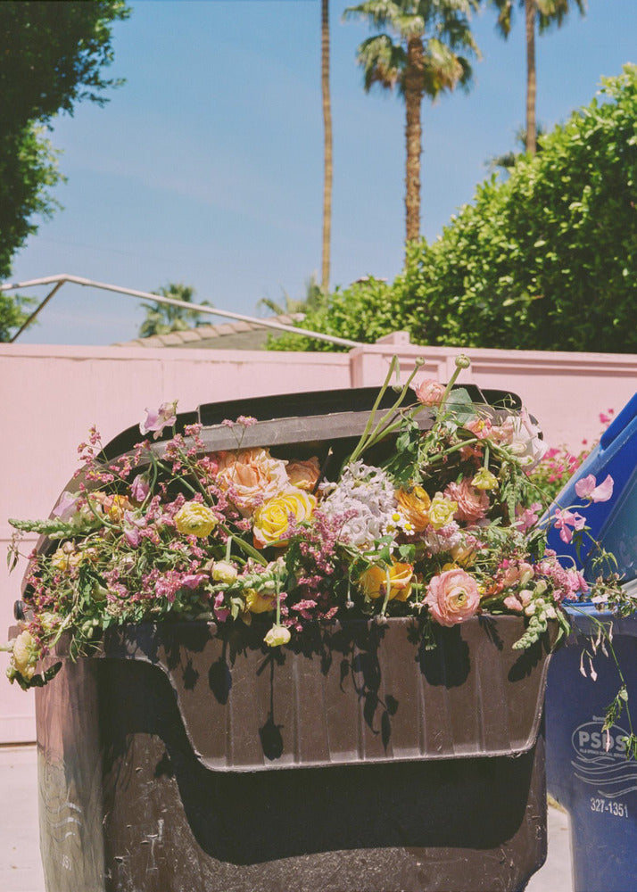 Palm Springs Curb | Poster