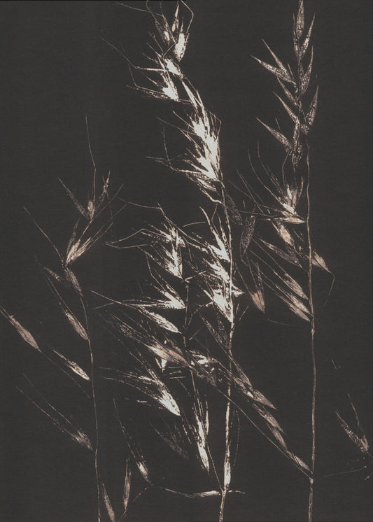 Wild Grass | Poster