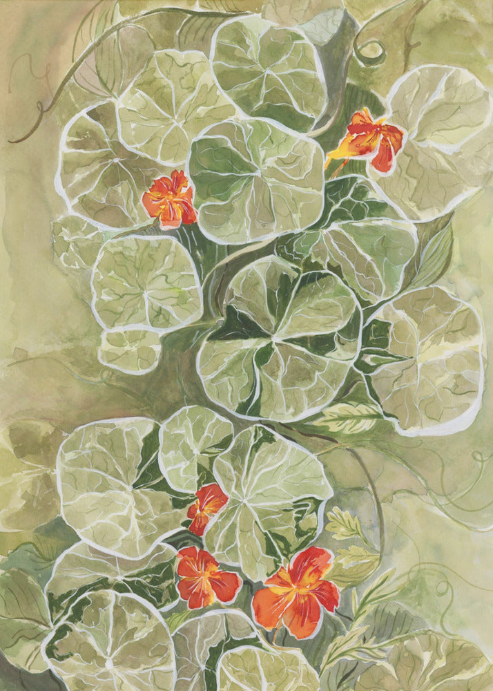 Nasturtium Tapestry | Poster