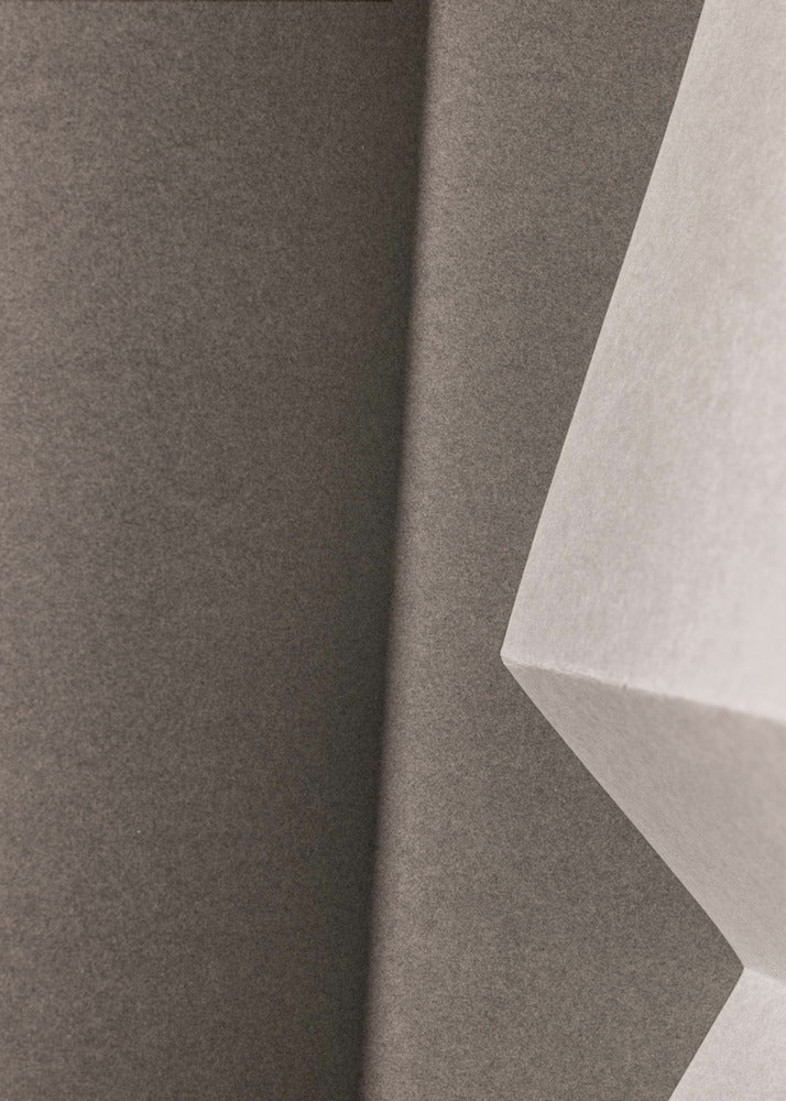 Papers and Shadows 1 | Poster