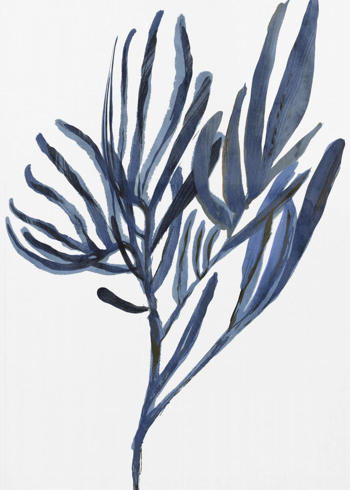 Blue Aquatic Plant Poster 2 | Canvas