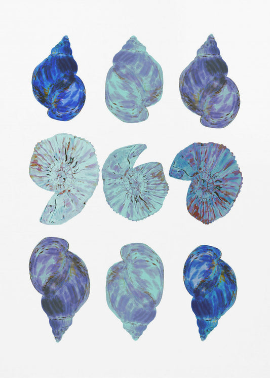 Blue Sea Shells Poster | Poster