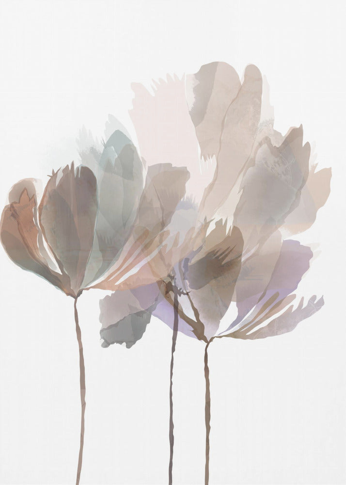 Blush Pink Flowers | Canvas