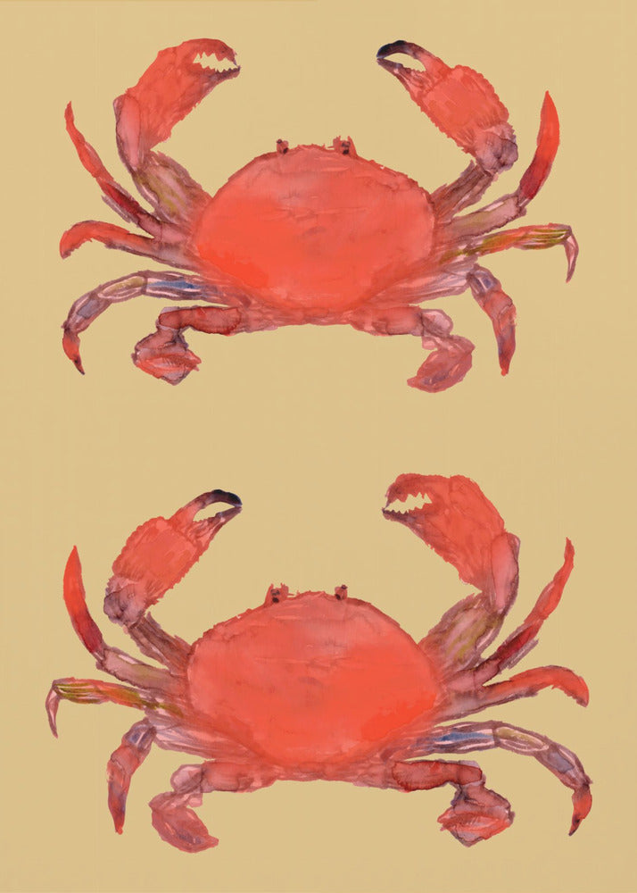 Crab Poster 2 | Canvas