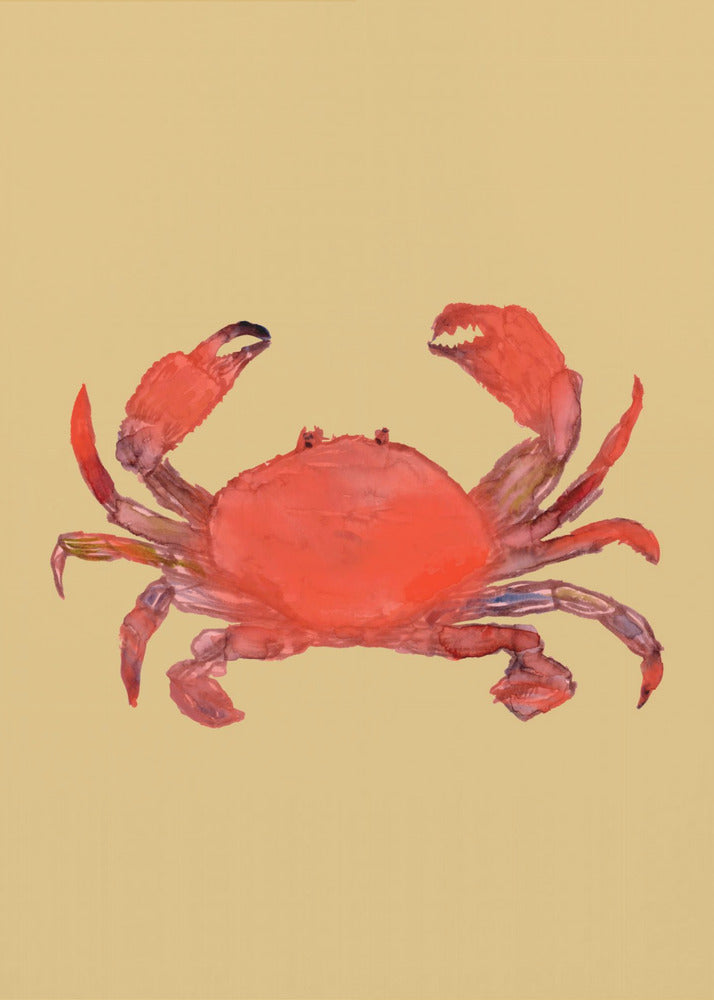 Crab Poster | Canvas