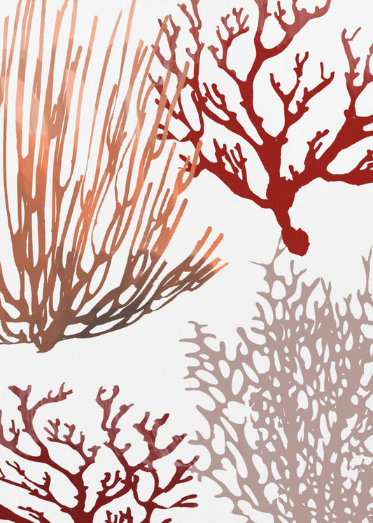 Pink and Red Sea Coral | Poster