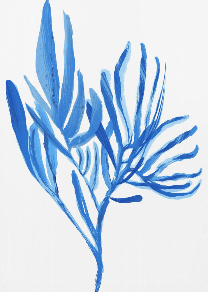 Blue Aquatice Plant Poster 5 | Canvas