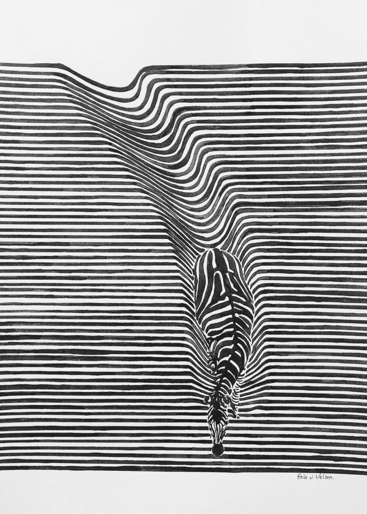 Zebra in het veld | Poster