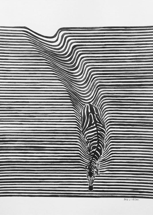 Zebra in het veld | Poster