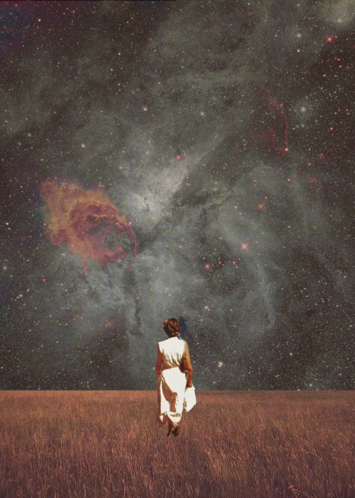 Follow Me by Frank Moth | Canvas