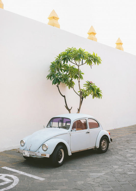 Pastel Volskwagen Beetle in the streets of Oaxaca Mexico | Poster
