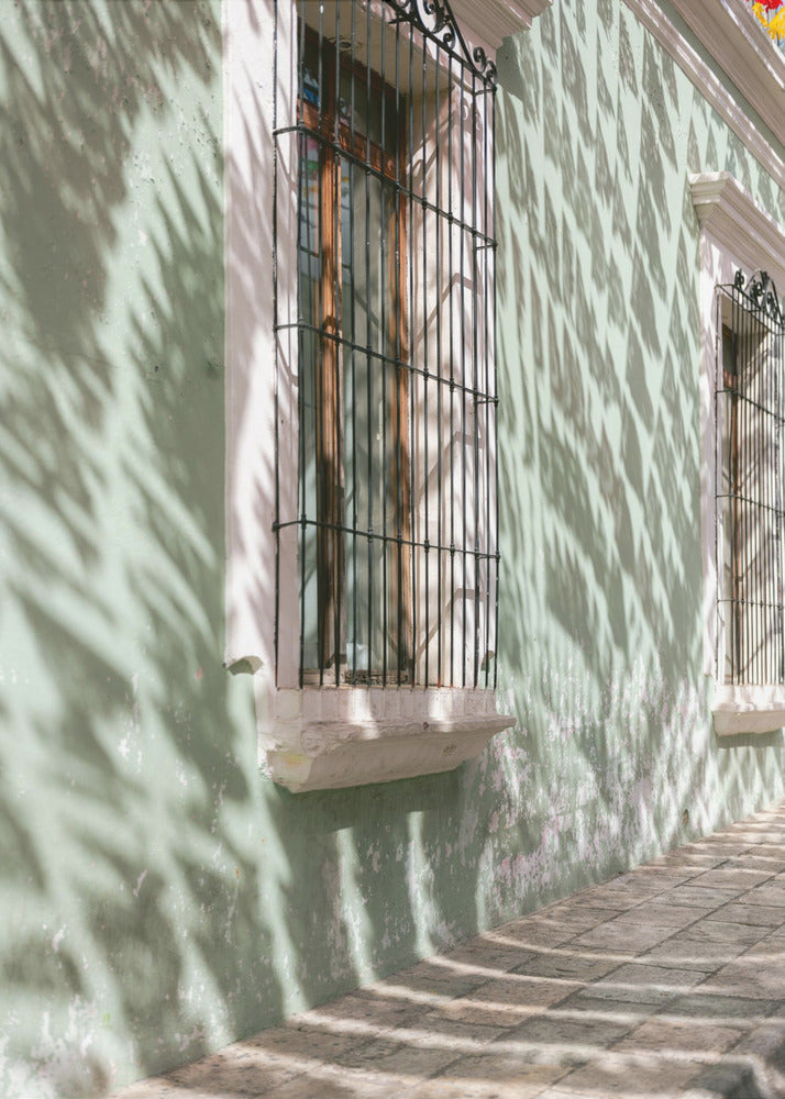 Greens of Oaxaca | Mexico travel photography | Poster