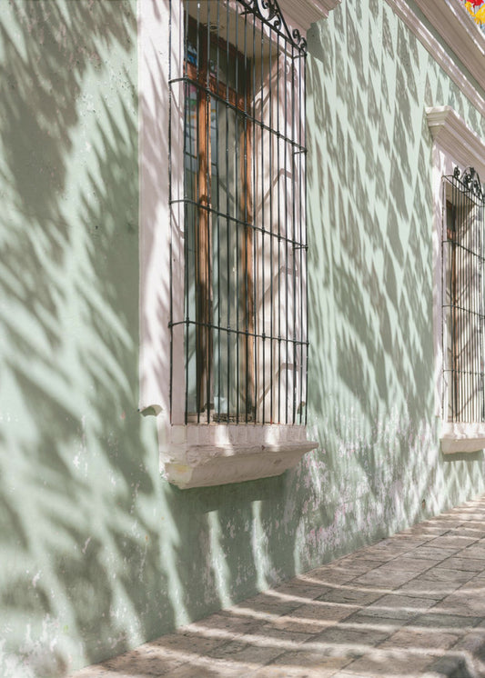 Greens of Oaxaca | Mexico travel photography | Poster