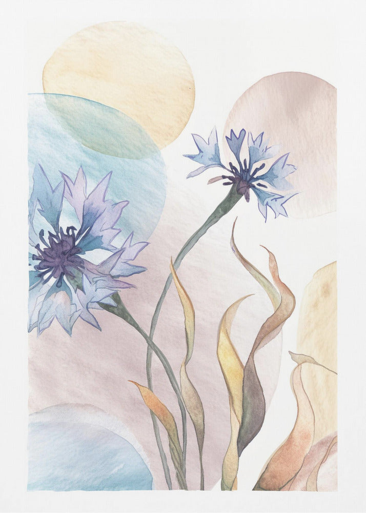 Watercolor Cornflowers | Poster