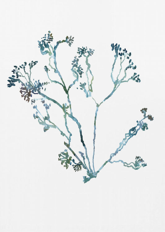 Delicate Blue Flowers 2 | Canvas